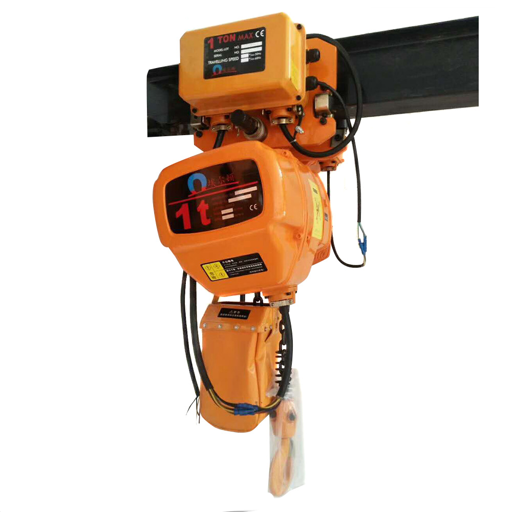 1 Ton 6 M Construction Lift El - Electric Chain Hoist review and price